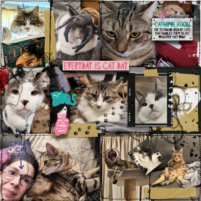 Crazy Cat Lady April Style Challenge.jpg