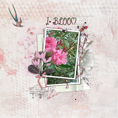 In Bloom