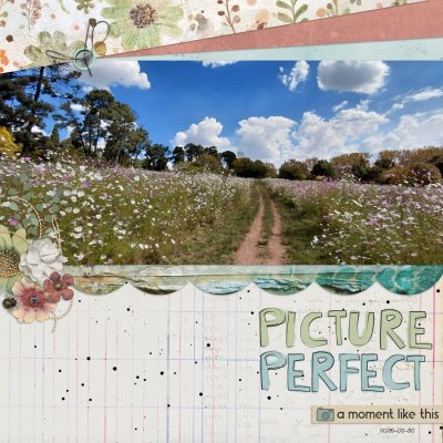 PicturePerfect