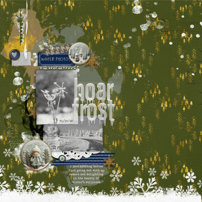 Hoar Frost