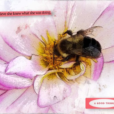 Bumblebee Love.jpg