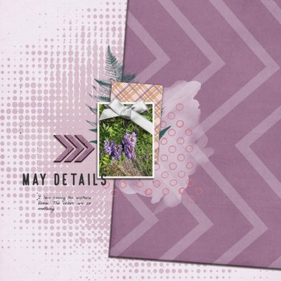 wisteria.jpg