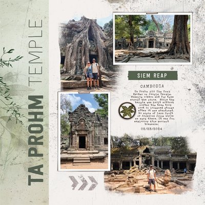TA.PROHM.jpg