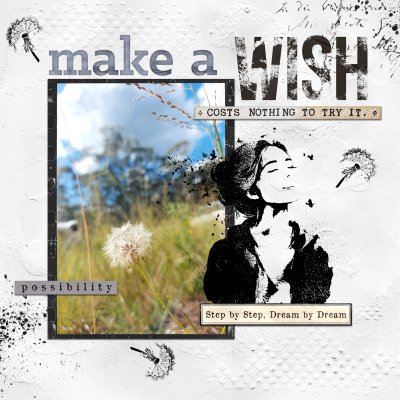 make a wish