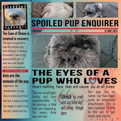 0613-pup-foot-to-vet-copy.jpg