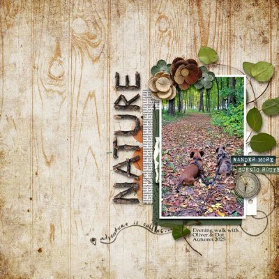 Nature Walk