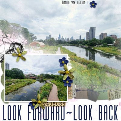 Look Forward ~ Look Back