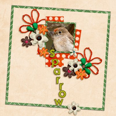 Sparrow