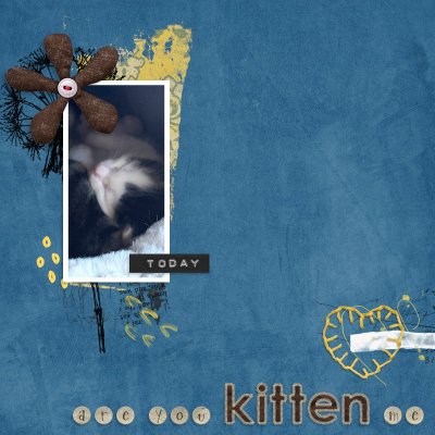 Are You Kitten Me