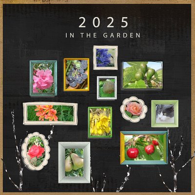 2025 in the garden