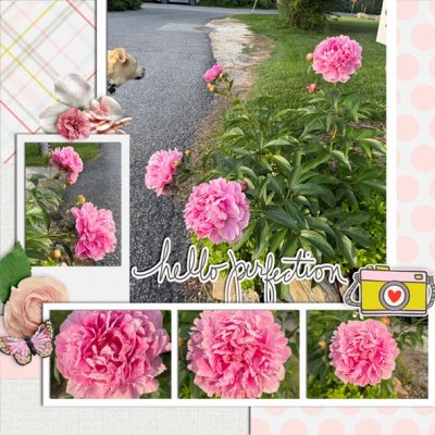 05-photography.jpg