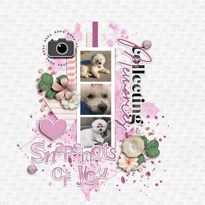 Snapshots Of You