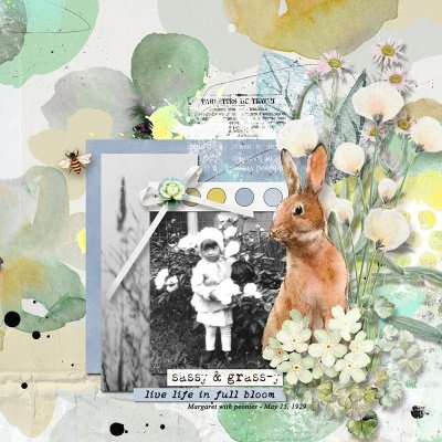 Hello-Spring