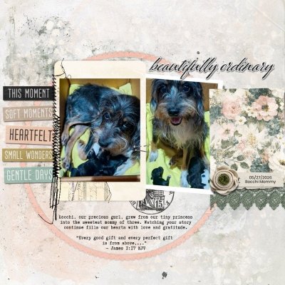 Beutifully Ordinary