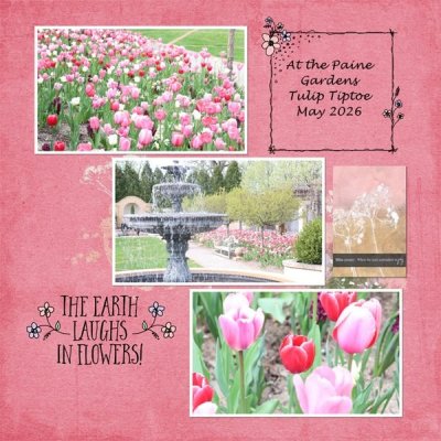 At the Paine Gardens Tulip Tiptoe.jpg