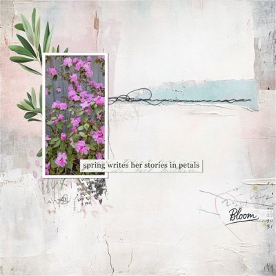 Spring Writes Her Story in Petals.jpg