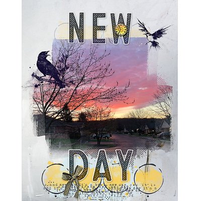 New-Day_flowersgal_sq_web.jpg
