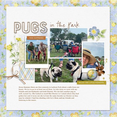 Pugs-in-the-Park.jpg