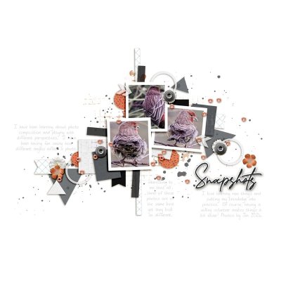 Snapshots