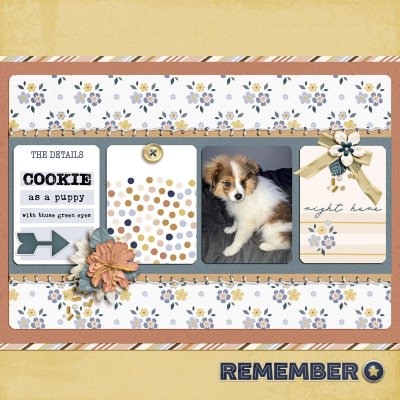 Remember Cookie