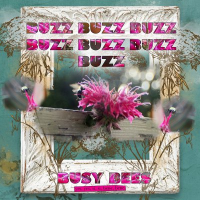Buzzin Bees.jpg