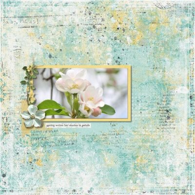 Spring Blooms 2026.jpg
