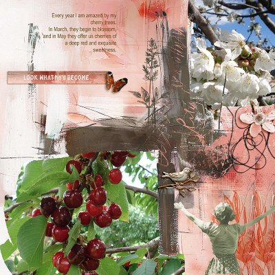Cherry trees
