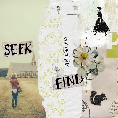 Seek Find