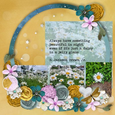 Sun & Moon & Daisies.jpg