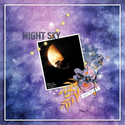 MOON SET - NIGHT SKY