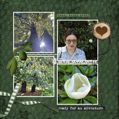 260605_magnolia.jpg
