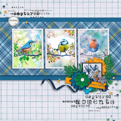 Love This Birds.jpg