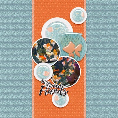 fishy friends