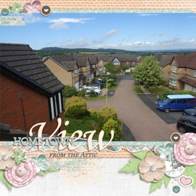 Hometown View
