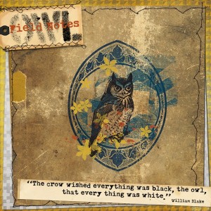 Field Notes:  Owl