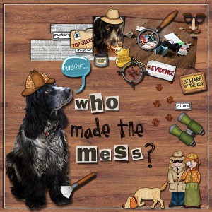 Who made the Mess?