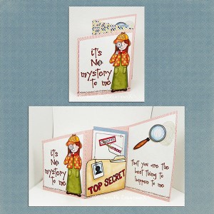 No Mystery Card