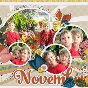 novTopper-web
