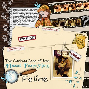 The Curious Case of the Flood Fancying Feline