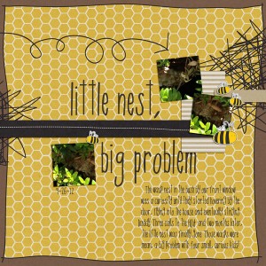 Big Problem