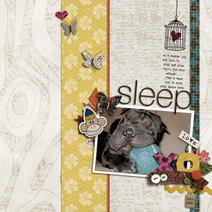 Sleep