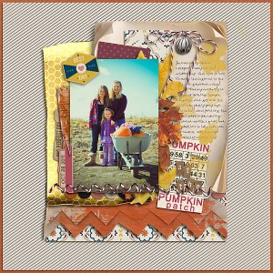 at the pumpkin patch