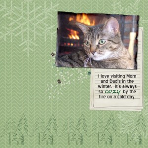 By the Fire