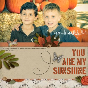 You are My Sunshine