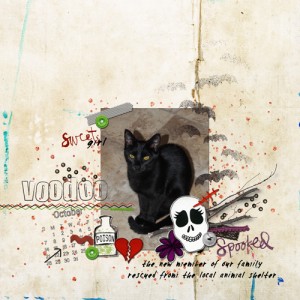 VooDoo