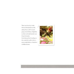 Fairy tale 2