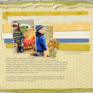 Pumpkin Patch