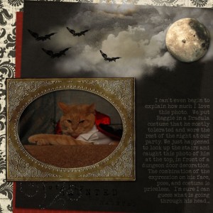 Dracula Cat