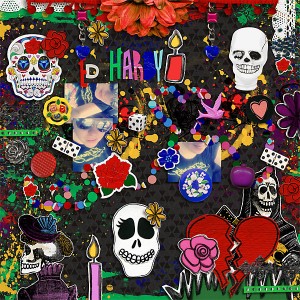 Ed Hardy