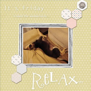 Relaxed dog